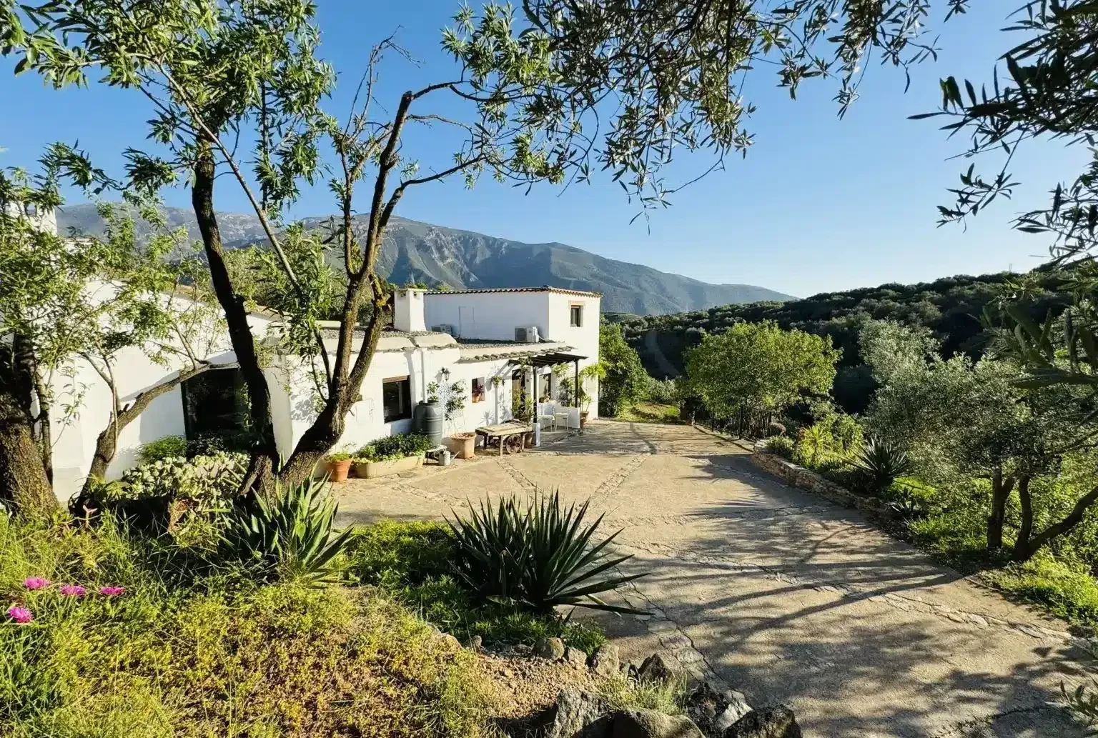 Almond Hill House - Foto 3