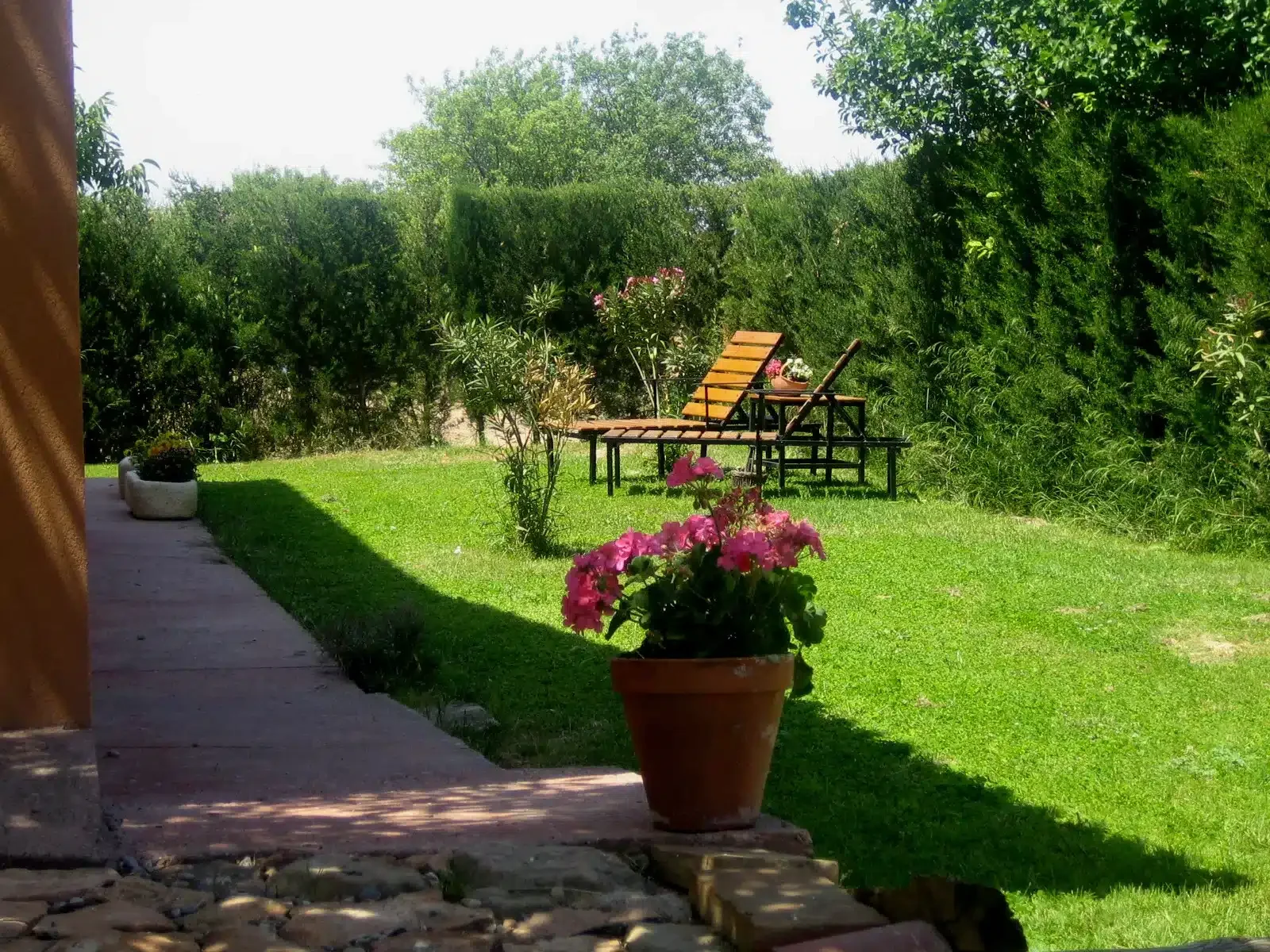 La Franja - Foto 4