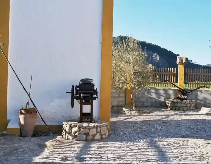 La Barca - Foto 3
