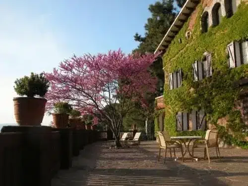 Vista Hermosa - Foto 1
