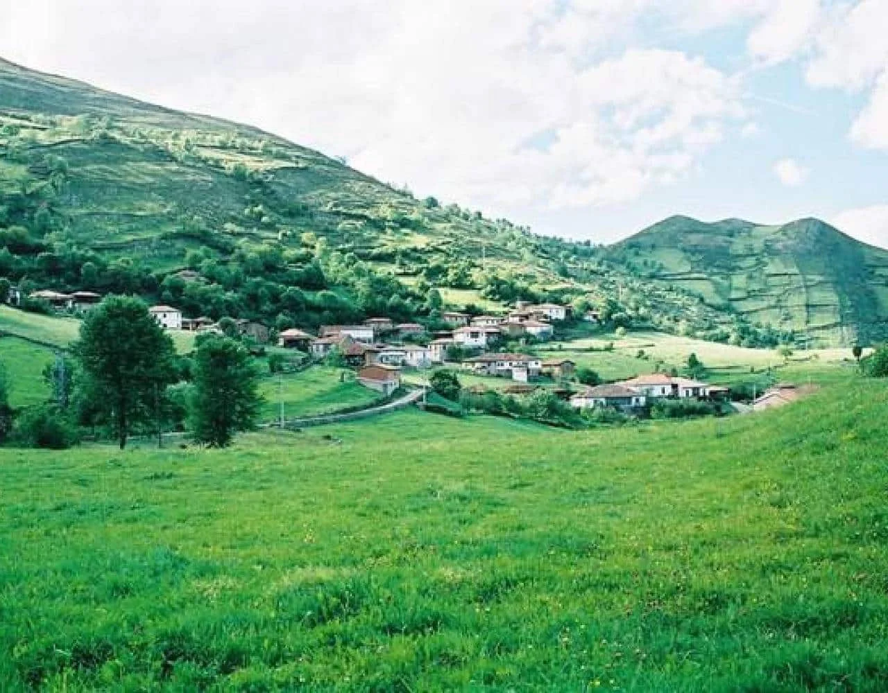 La Taberna d’Arceu - Foto 3