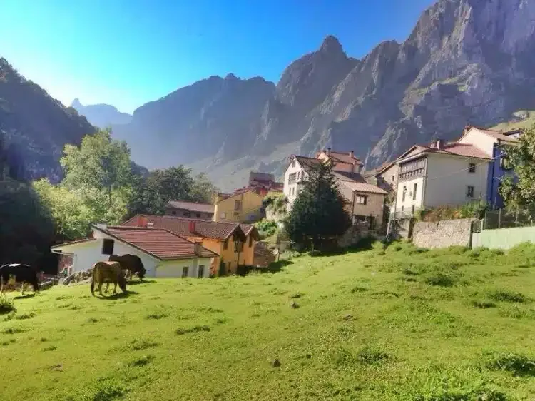El Güelín de Cabrales - Foto 1