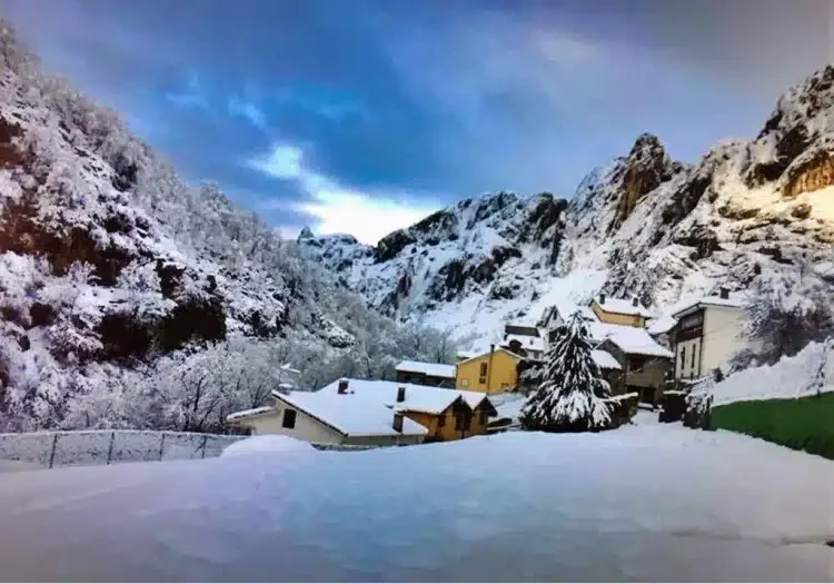 El Güelín de Cabrales - Foto 2
