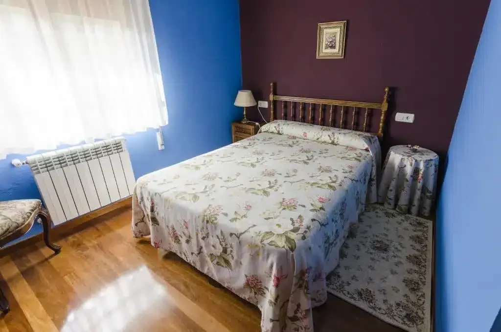 Fonte San Pedrín - Foto 5