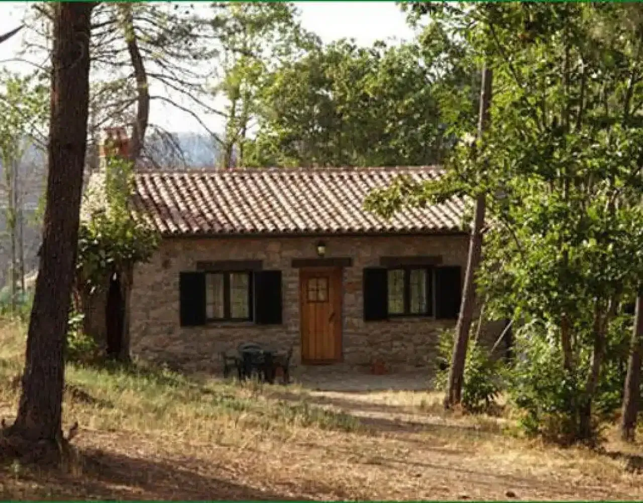 El Castañar - Foto 2