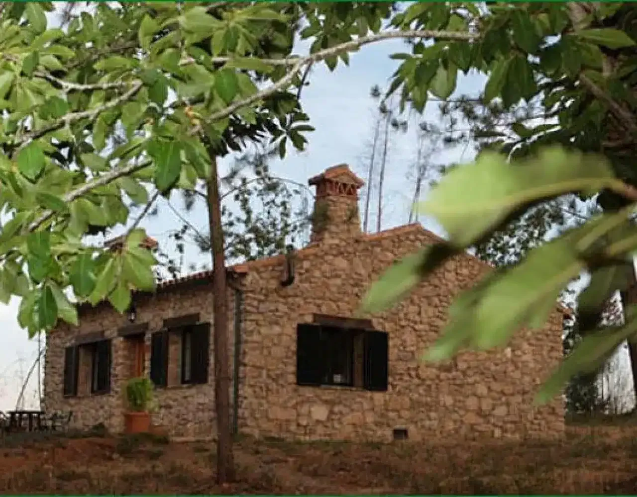 El Castañar - Foto 3
