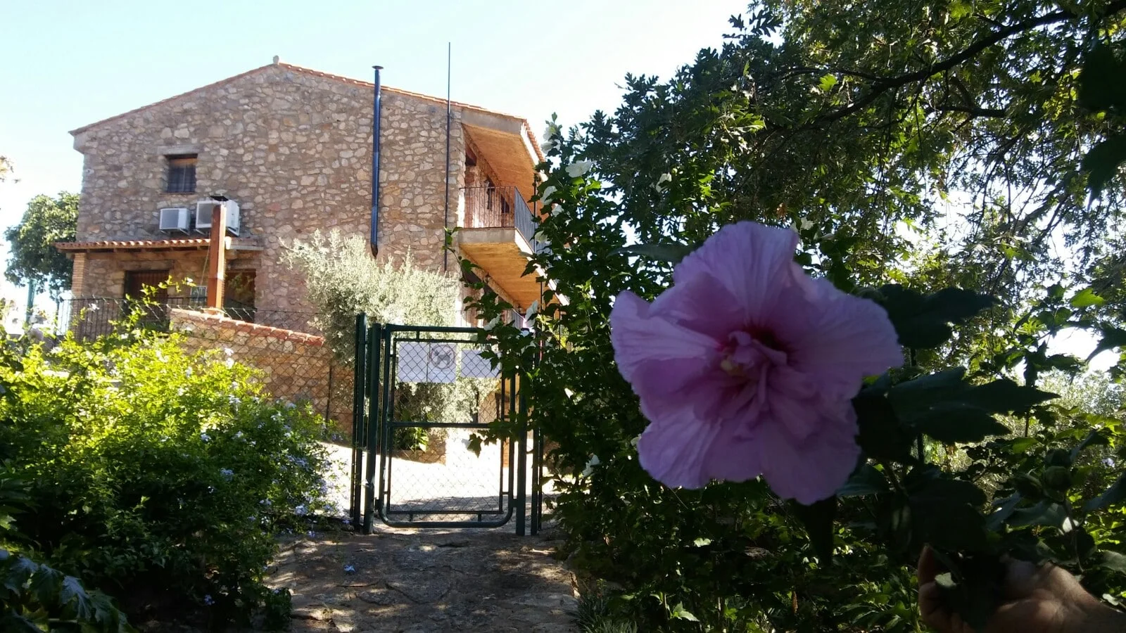 La Jiguera - Foto 3