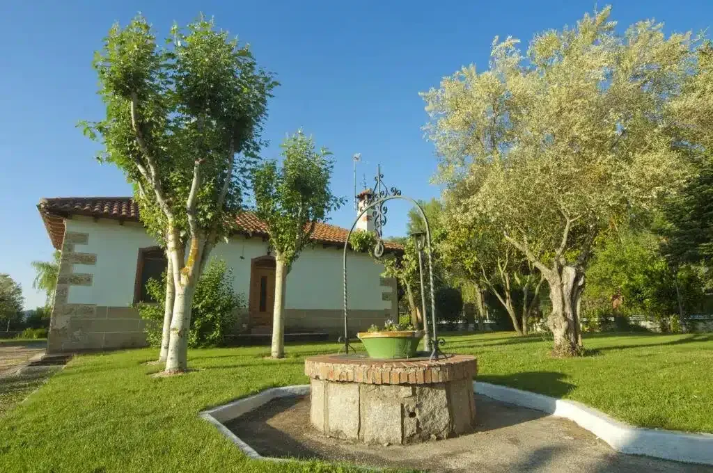La Viña - Foto 2