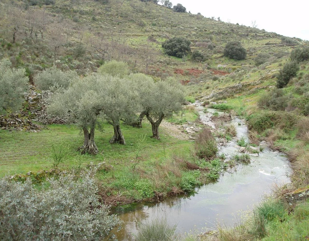 La Casa de Tía Matilde - Foto 3