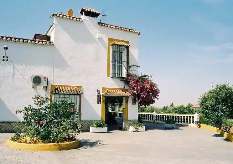 Finca La Luz - Foto 1
