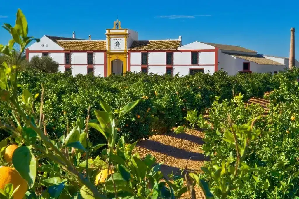 Finca La Luz - Foto 4
