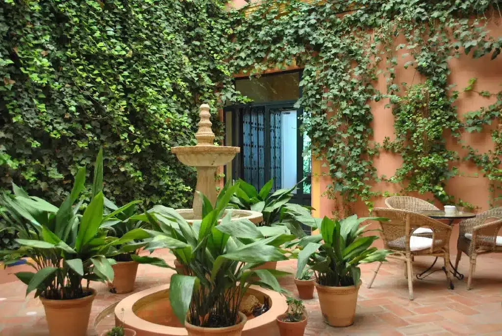 Finca La Luz - Foto 5