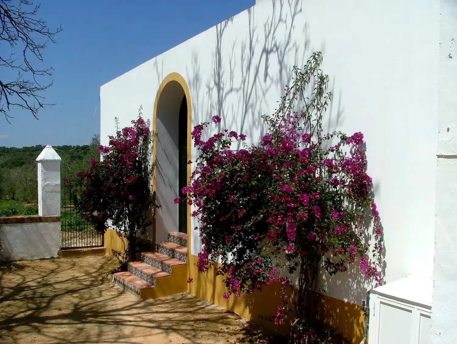 Hacienda San Felipe - Foto 2