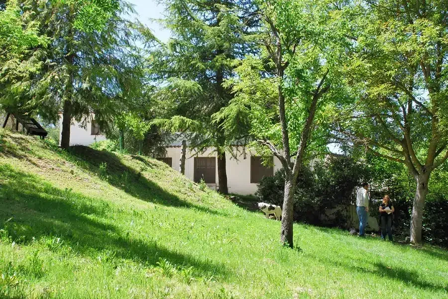 Huerta del Cañamares - Foto 5
