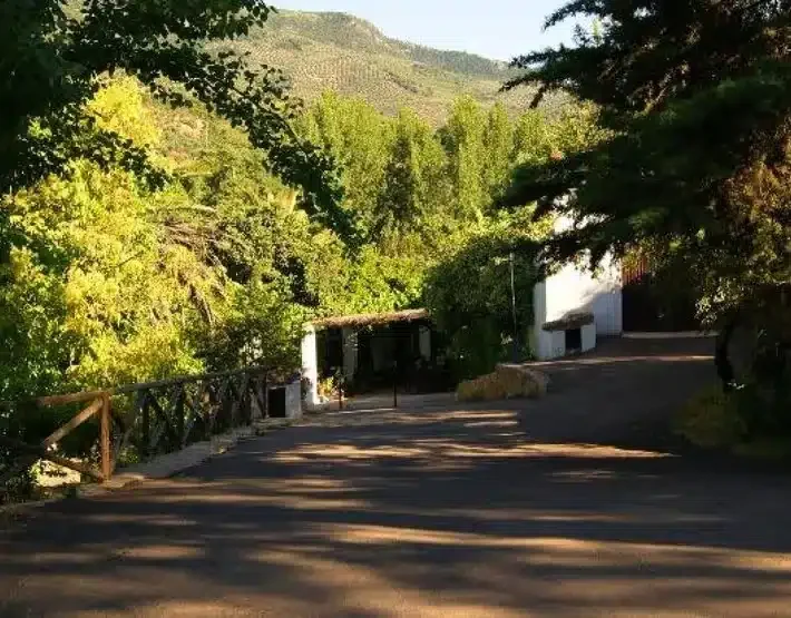 Cortijo Los Dos Reales - Foto 3