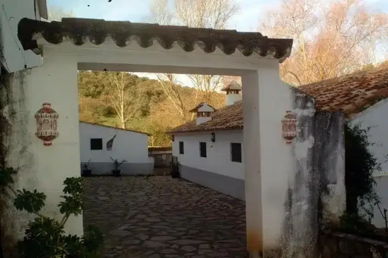 La Huerta del Molino - Foto 4