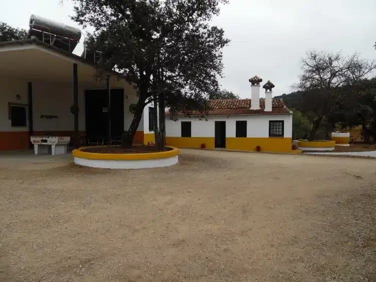 Finca El Encinar - Foto 5
