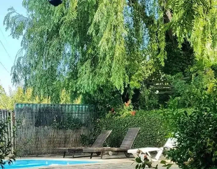 El Molino de Franchi - Foto 4