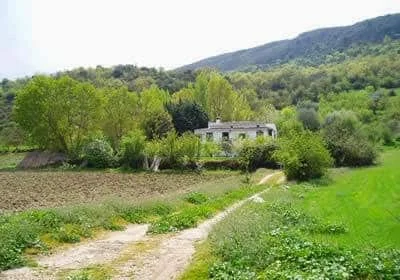 El Cortijillo - Foto 4