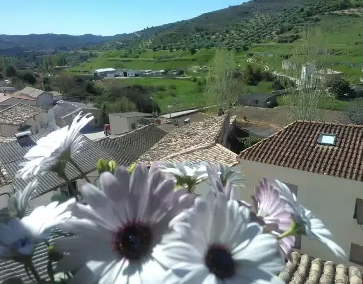 La Colmena - Foto 1