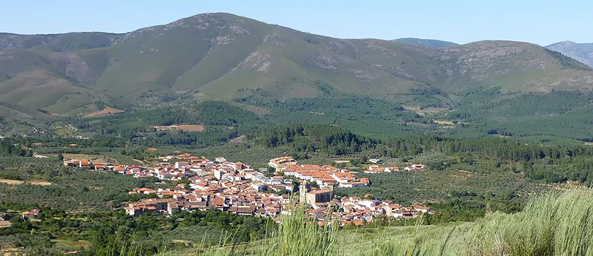 Corvina - Foto 3