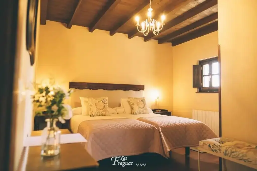 Las Fraguas - Foto 5