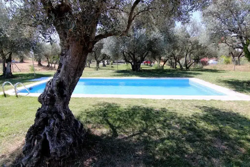 Hojaranzos - Foto 1