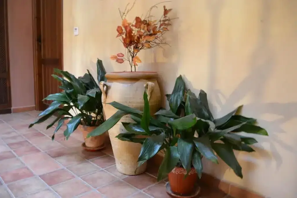 Hostal Toribio - Foto 4