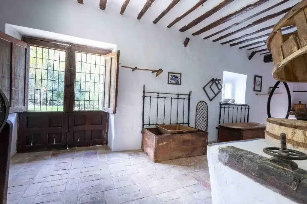 El Molino de Gris - Foto 4