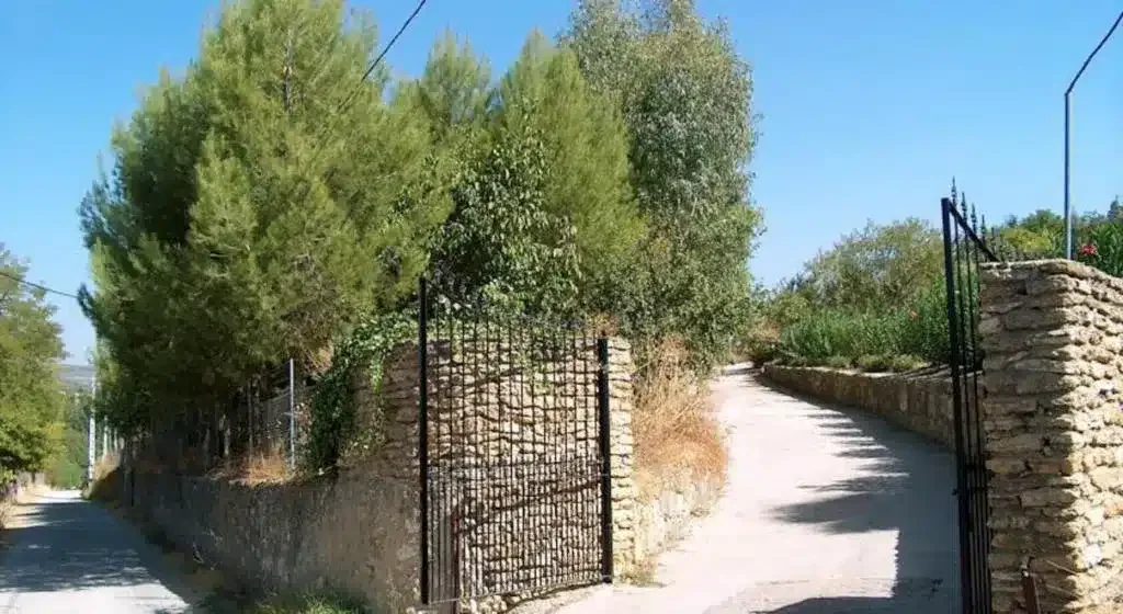 La Cantarrana - Foto 5