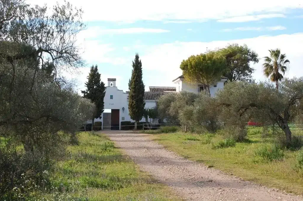Hacienda Dos Olivos - Foto 2