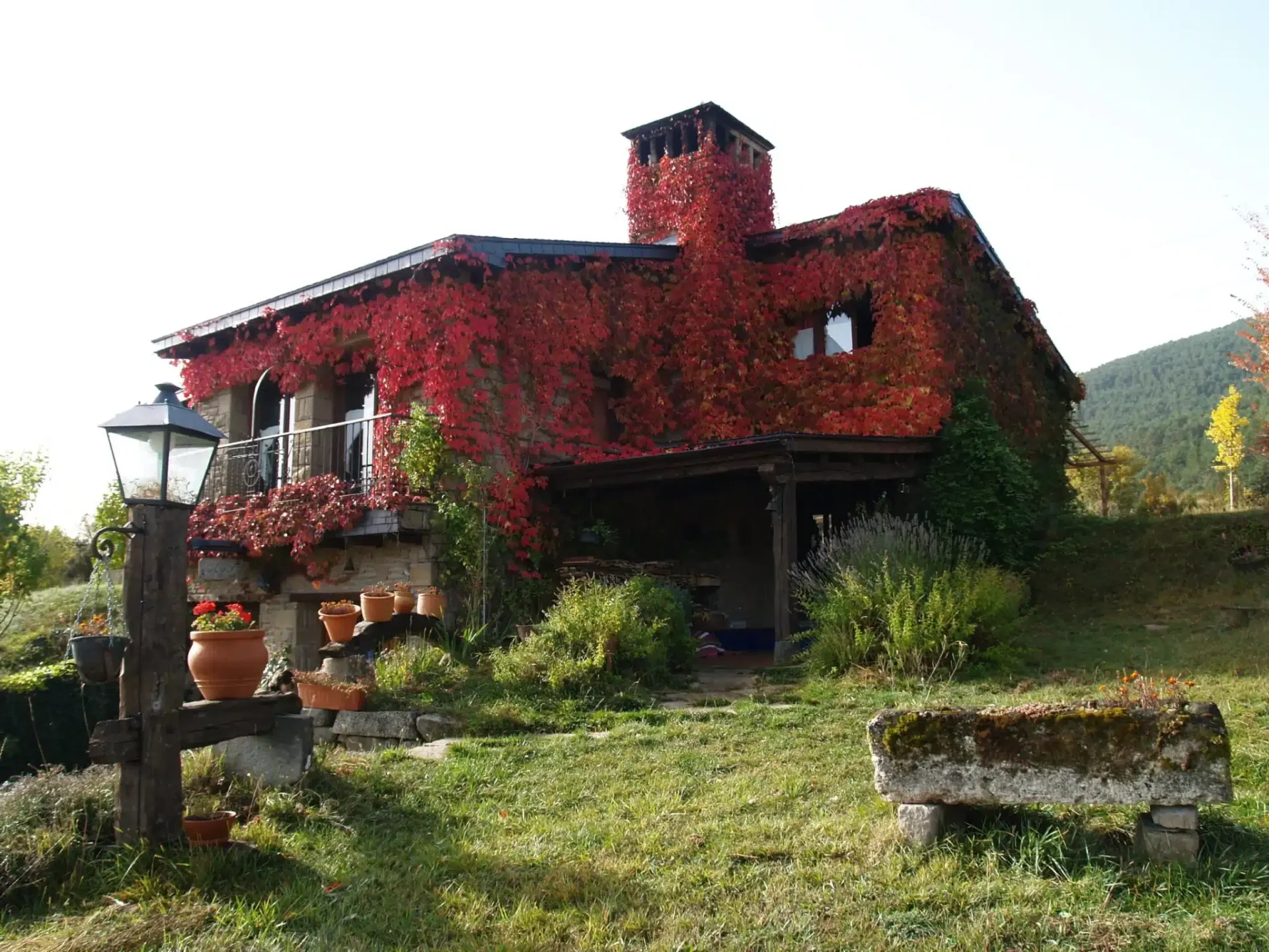 L’Orache - Foto 1