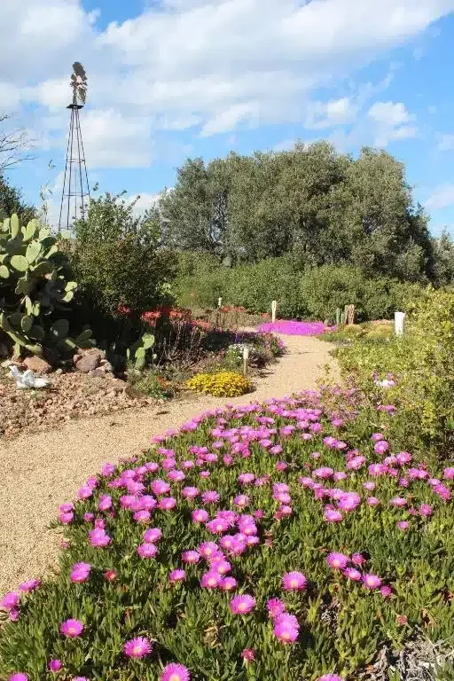 El Jardín de los Sueños - Foto 2