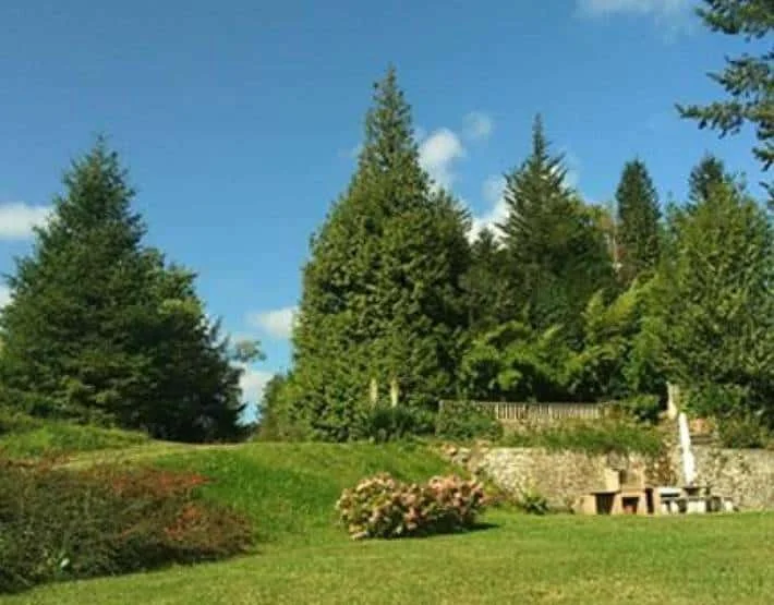 Casa Ali - Foto 5