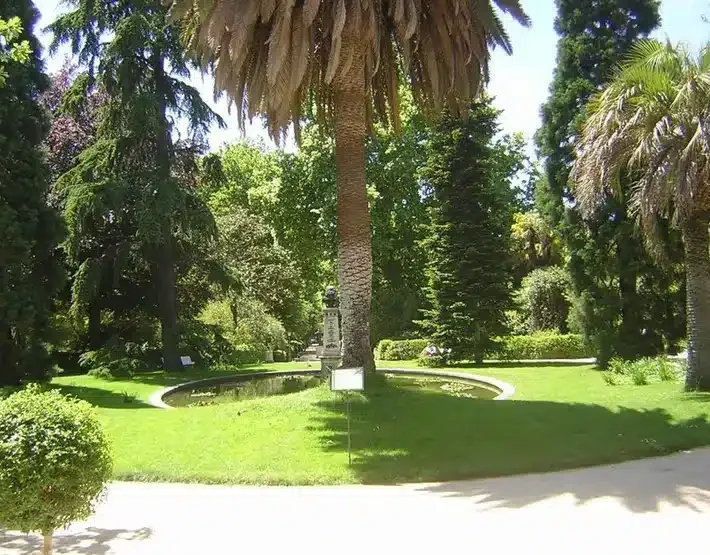 La Casa del Cedro - Foto 2