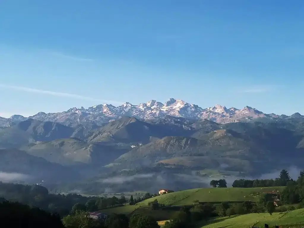 Heredad de la Cueste - Foto 2