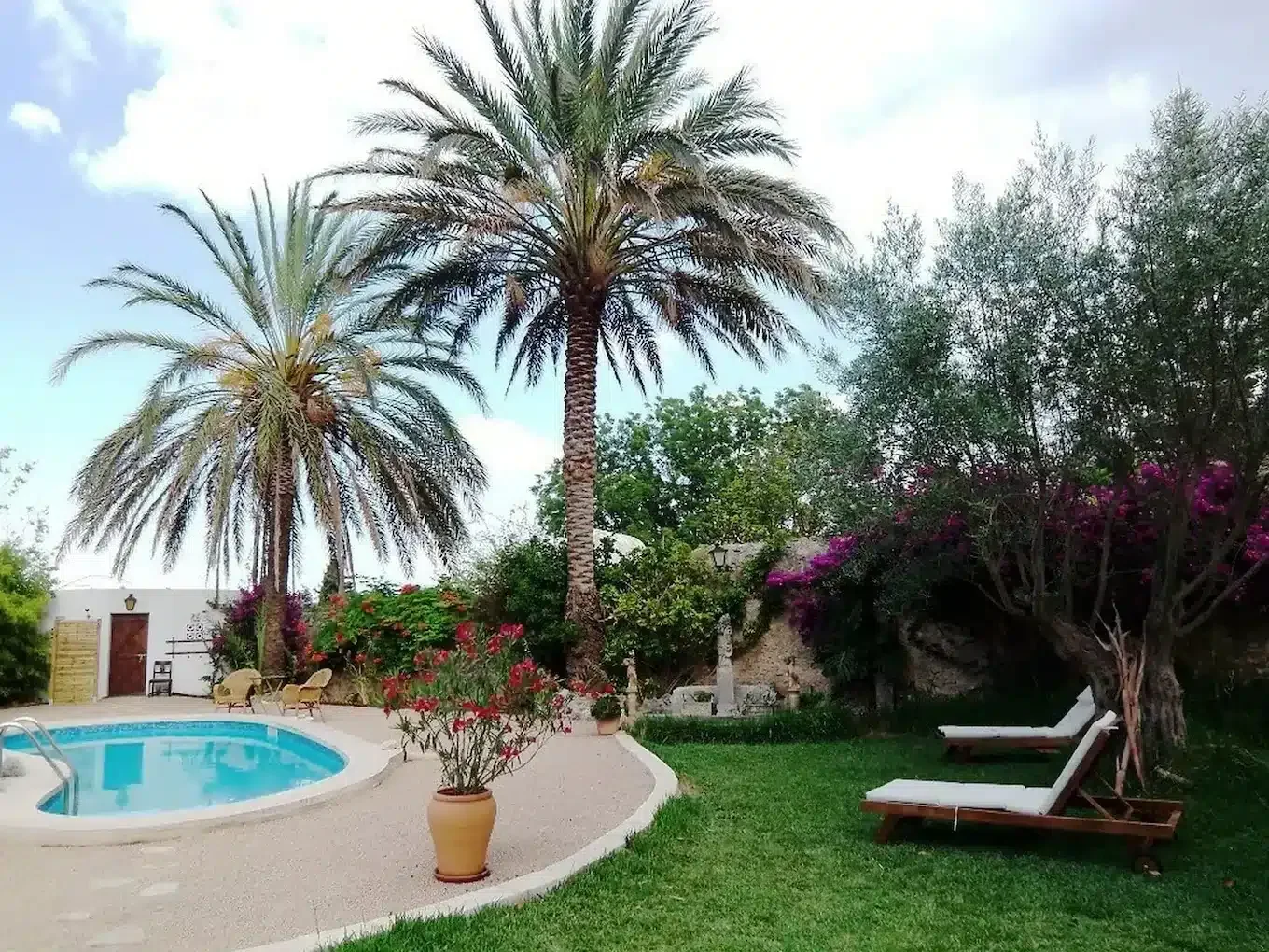 Can Maví - Foto 3
