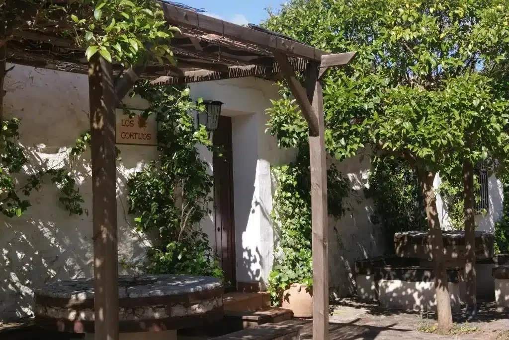 Los Cortijos - Foto 1