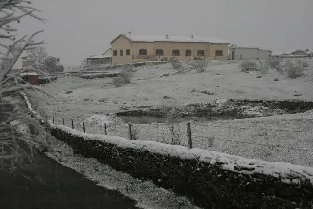Las Canteras - Foto 3