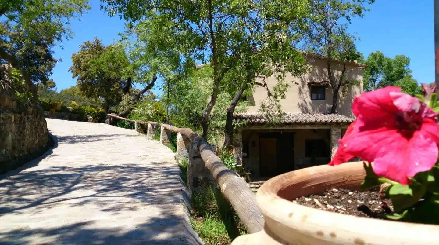 Huerta de Valdolázaro - Foto 1
