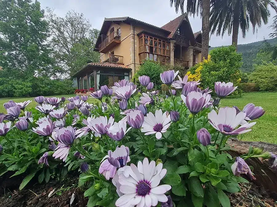 Los Lienzos - Foto 1