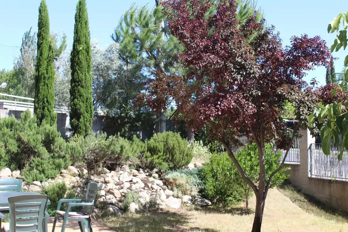 Camino de Gredos - Foto 5