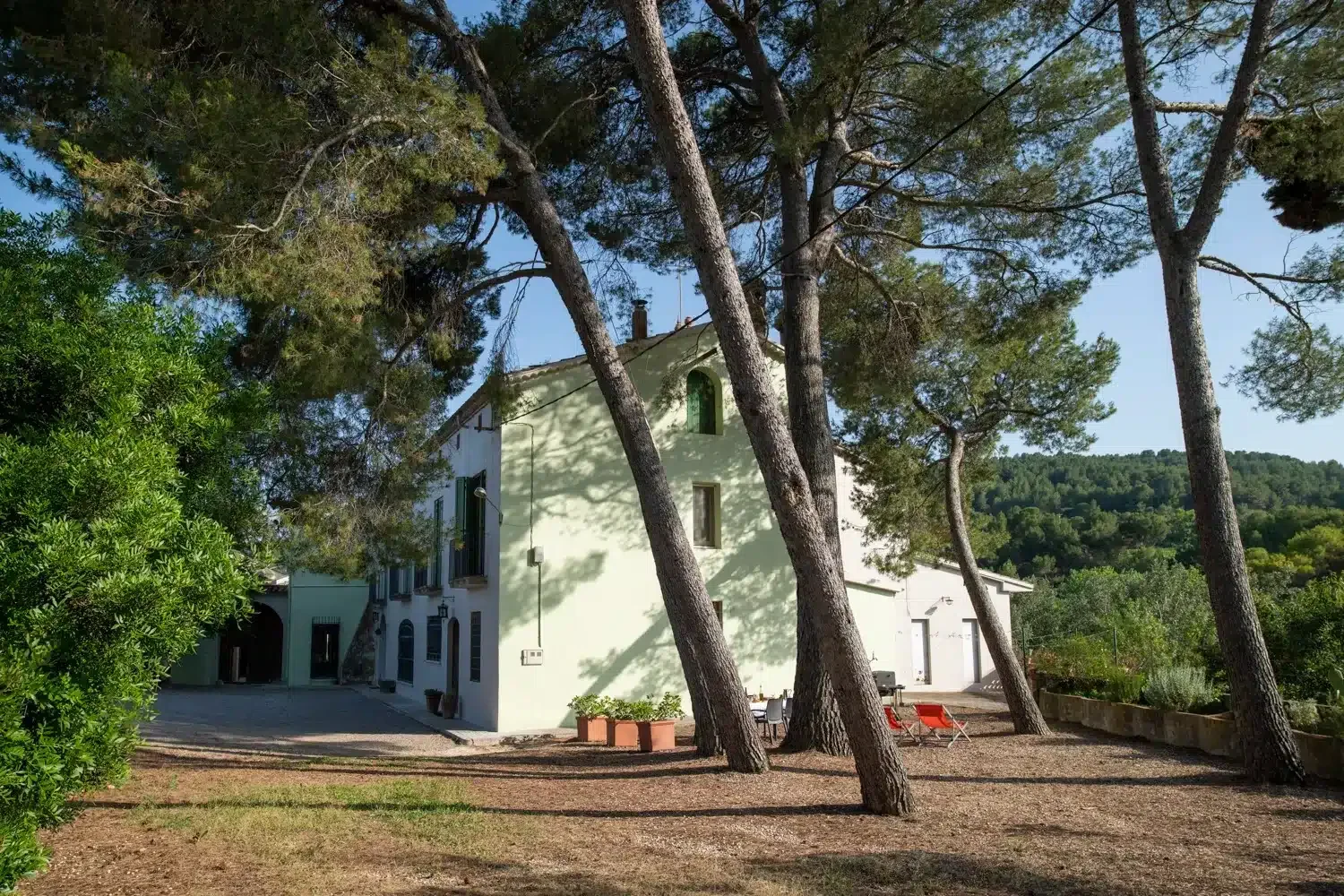 Can Comas - Foto 5