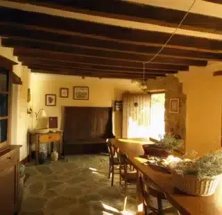 Vallmajor Eqüestre - Foto 3
