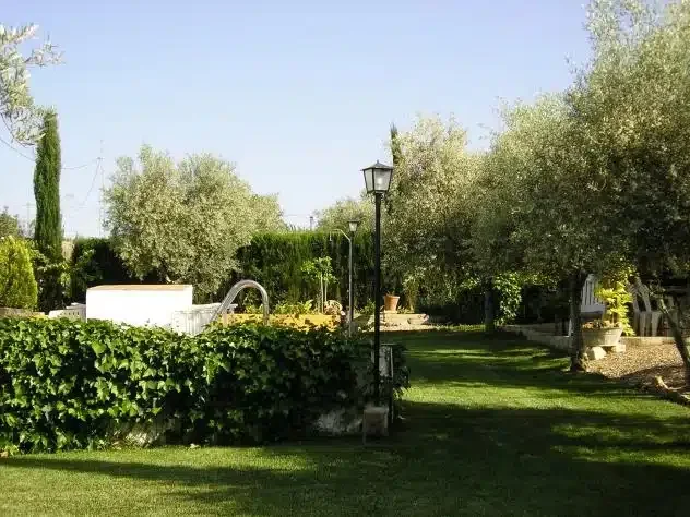 El Recreo - Foto 2