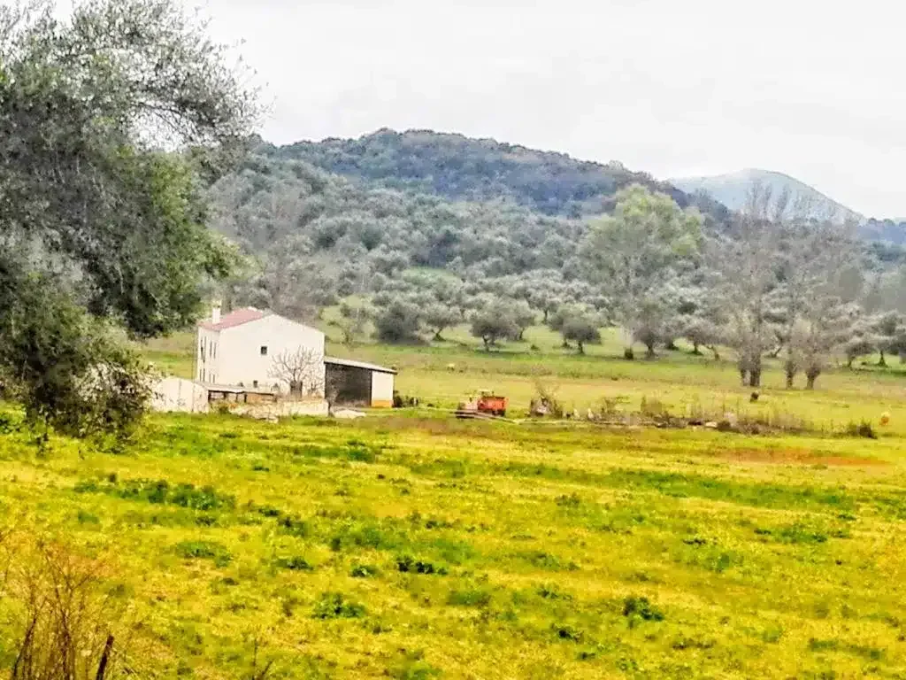 Manantial Antiguo Molino - Foto 2