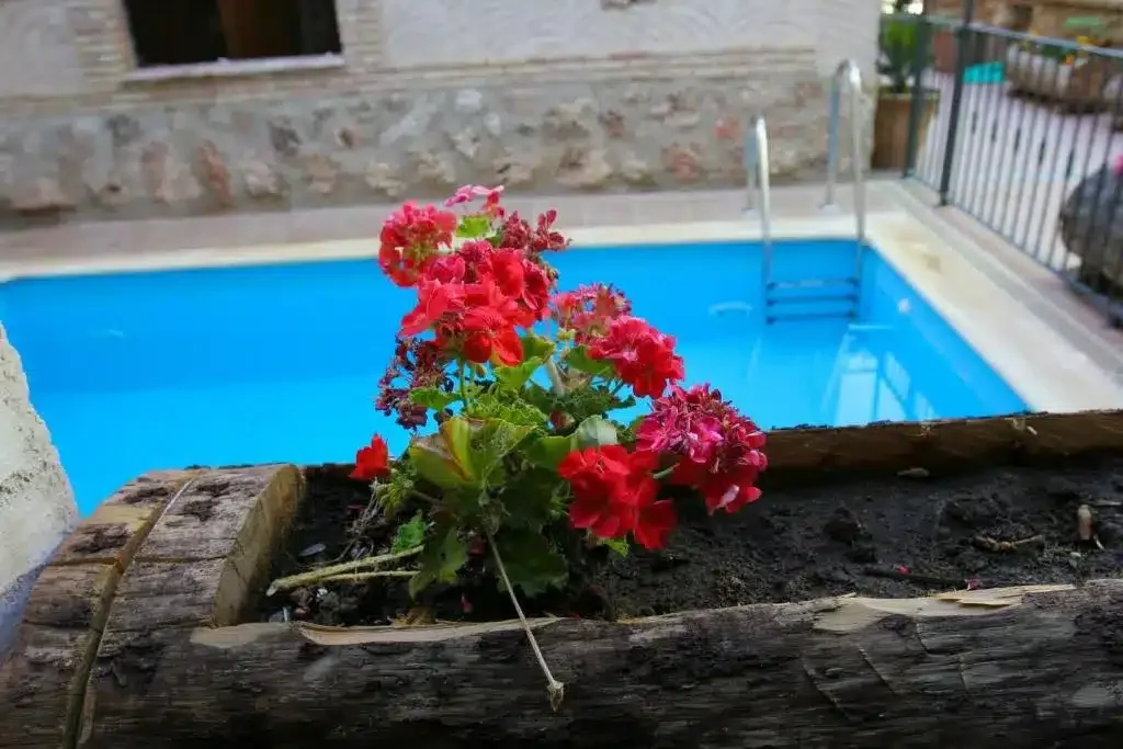 El Capricho del Valle - Foto 5