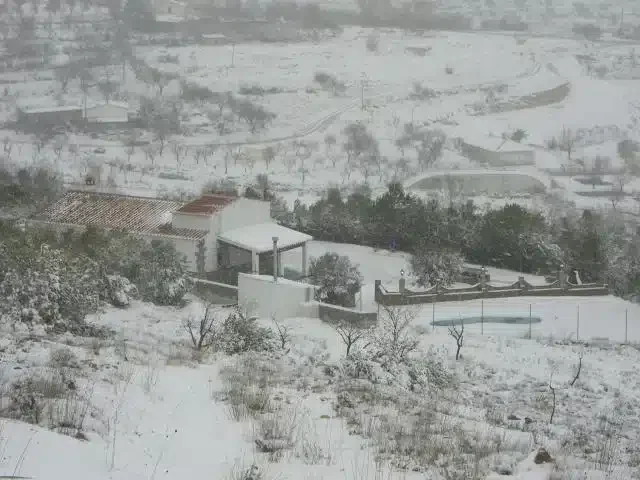 Los Farolillos - Foto 3