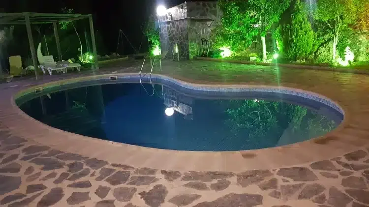Los Farolillos - Foto 5