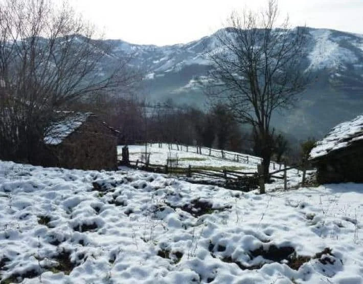 Vegacima - Foto 3
